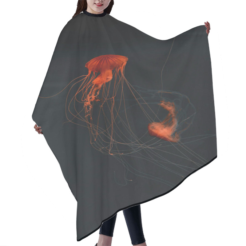 Personality  Selective Focus Of Compass Jellyfishes In Red Neon Light On Dark Background Hair Cutting Cape