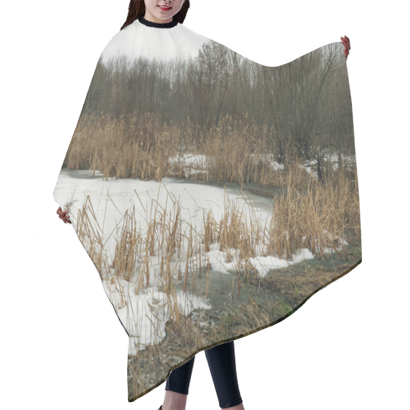 Personality  Forest Lake With Reeds In The Ice Hair Cutting Cape