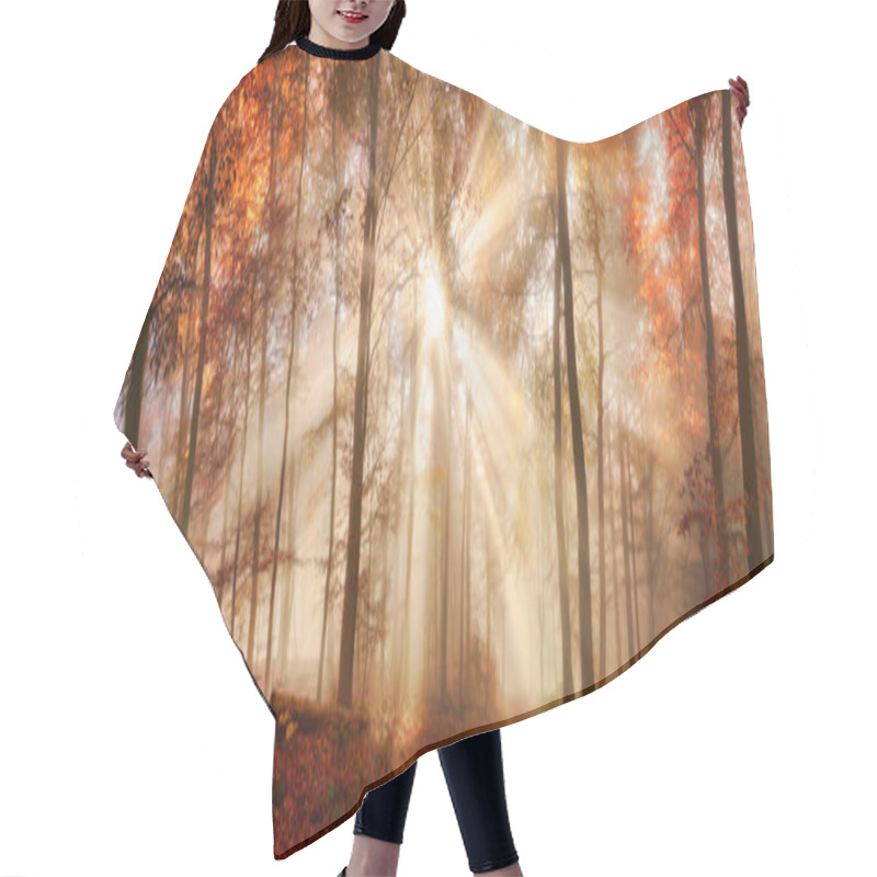 Personality  Rays Of Sunlight In A Misty Autumn Forest Hair Cutting Cape