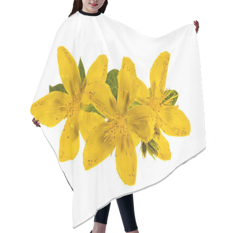 Personality  St. John's Wort Flowers Hair Cutting Cape