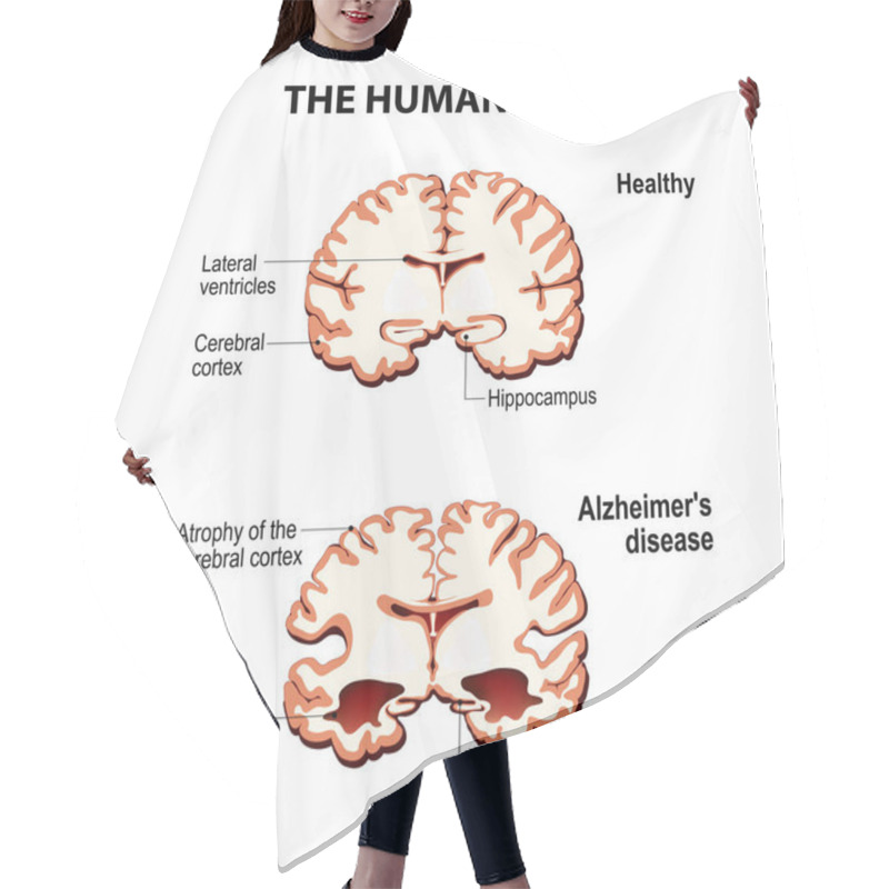 Personality  The Human Brain.  Hair Cutting Cape