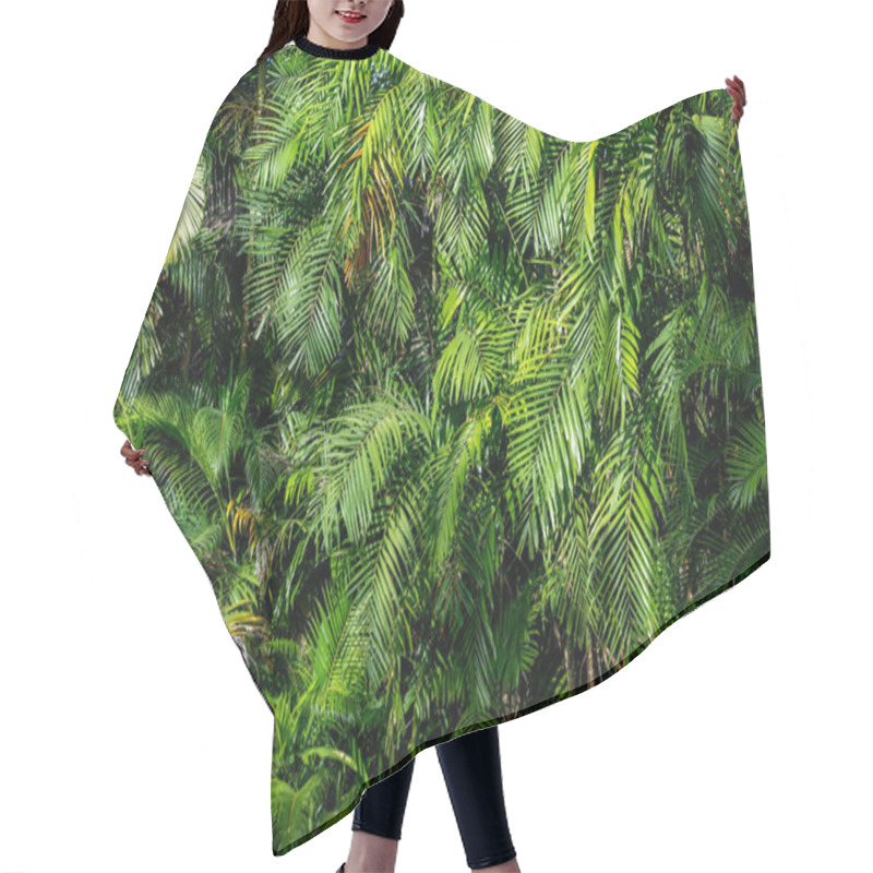 Personality  Lush Foliage In A Tropical Jungle In Thailand Hair Cutting Cape