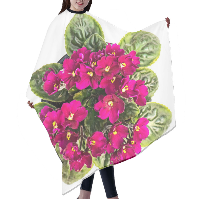 Personality  Close Up African Violets Hair Cutting Cape