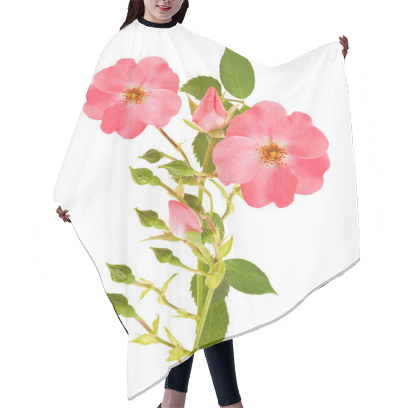 Personality  Dog Rose Hair Cutting Cape