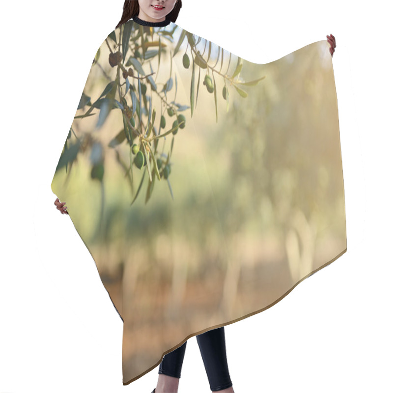 Personality  Olive Trees Garden Hair Cutting Cape