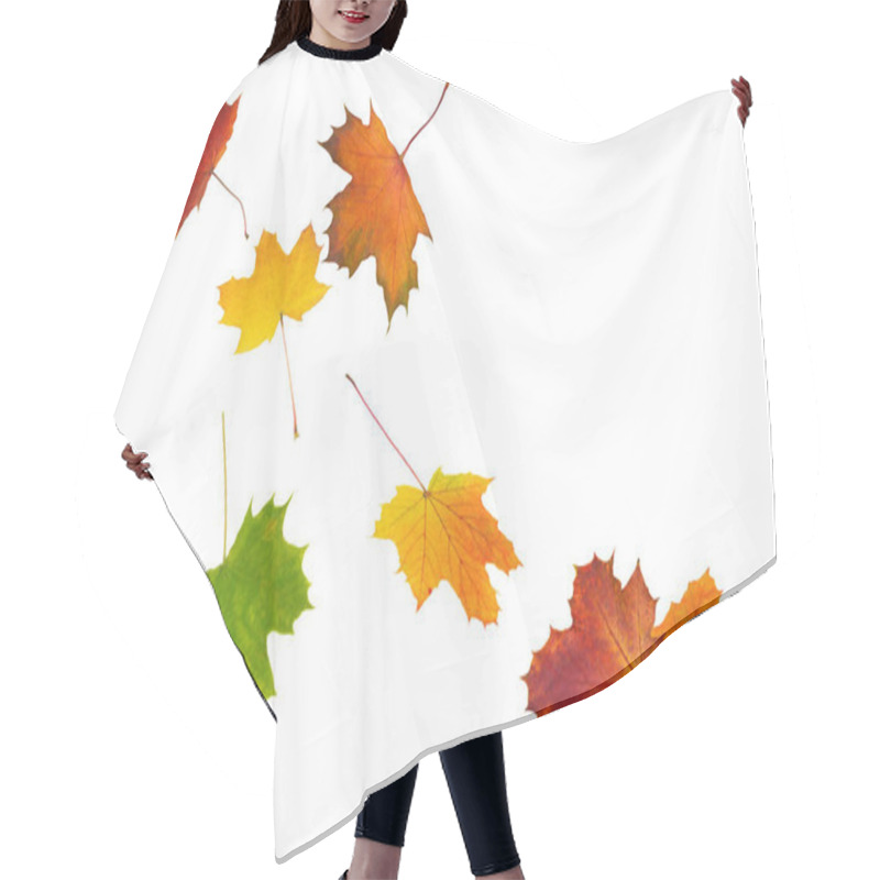 Personality  Fall Season Foliage, Autumn Leaves Flora Hair Cutting Cape