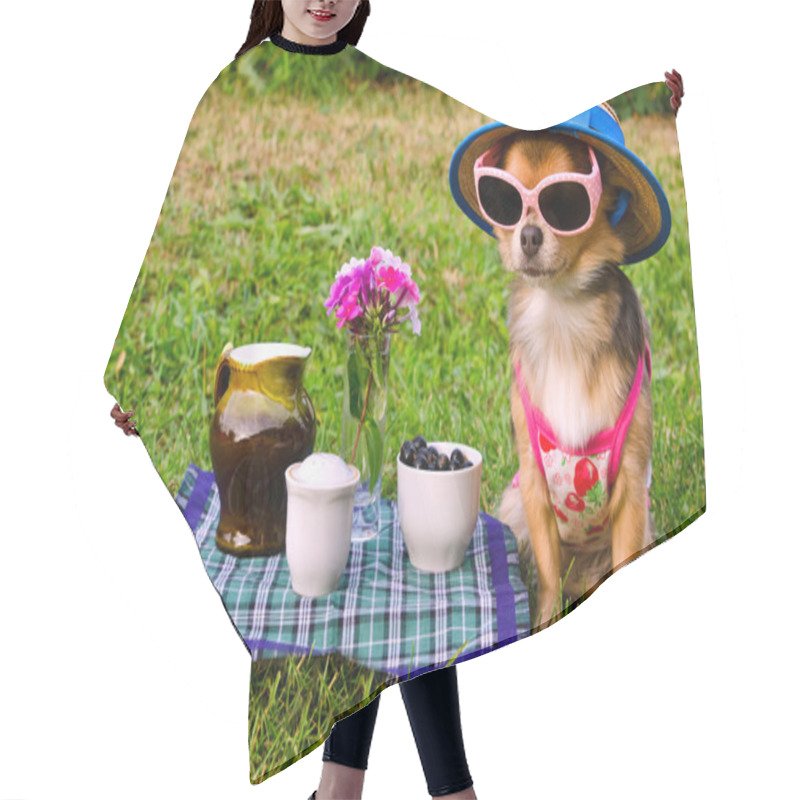 Personality  Tiny Dog Wearing Yellow Suit, Straw Hat And Glasses Relaxing In Meadow Hair Cutting Cape