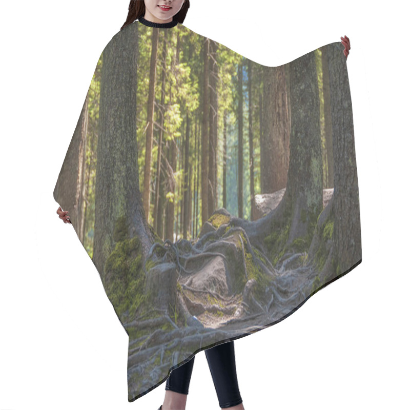 Personality  Magic Sunny Forest. Hair Cutting Cape