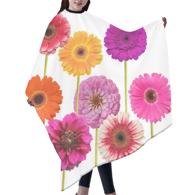 Personality  Gerbera Flower Collage Isolated On White Background Hair Cutting Cape