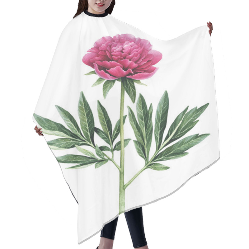 Personality   Illustration Of Peony Flower Hair Cutting Cape