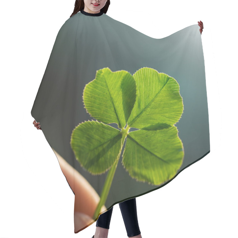 Personality  Four Leaf Clover Hair Cutting Cape