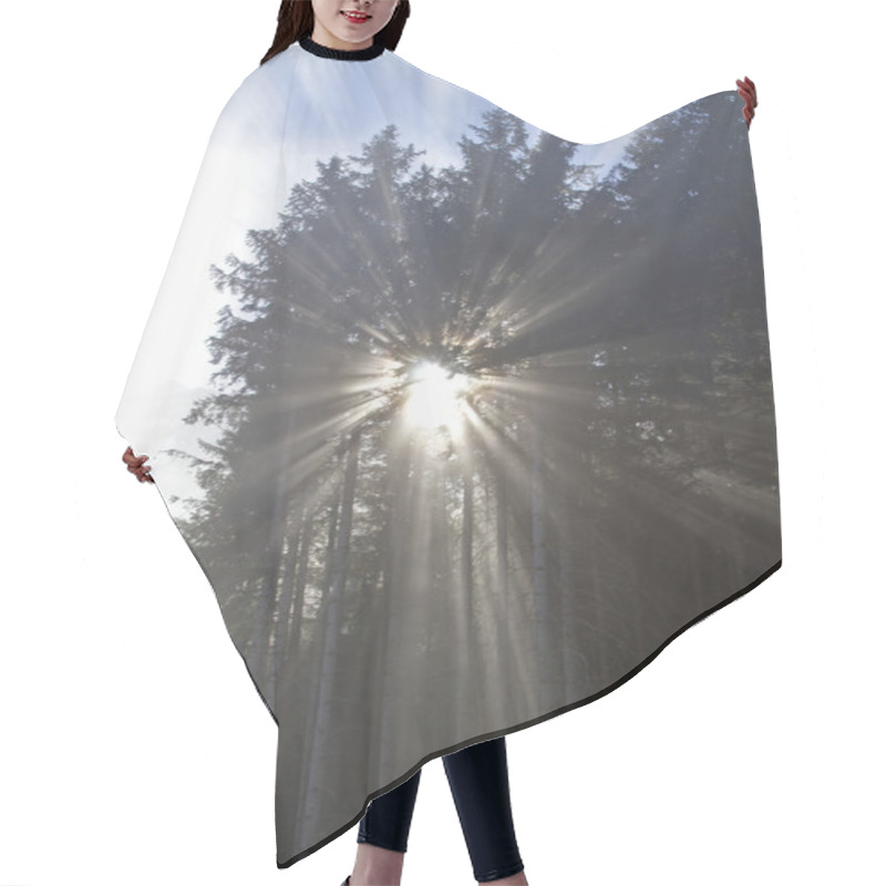 Personality  Backlight In The Mountain Forest Hair Cutting Cape