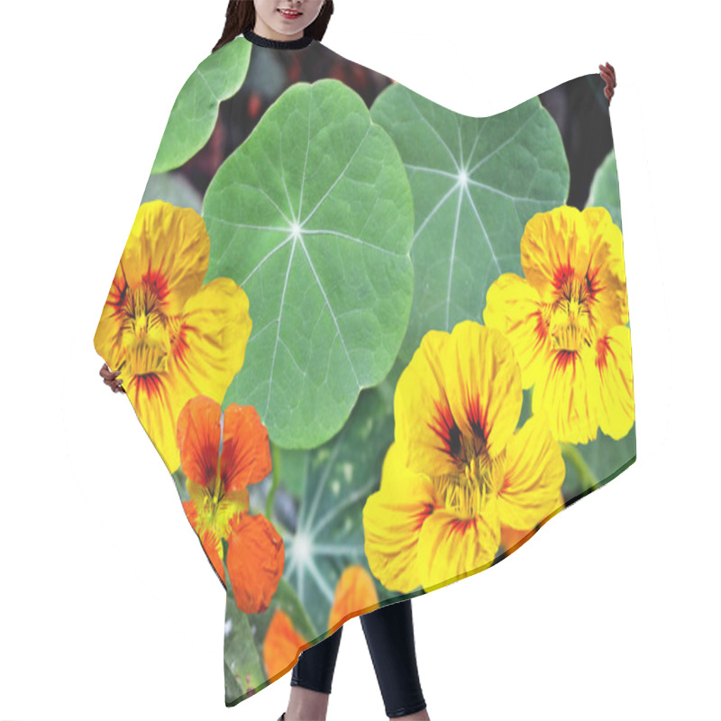 Personality  Nasturtium Flowers Hair Cutting Cape