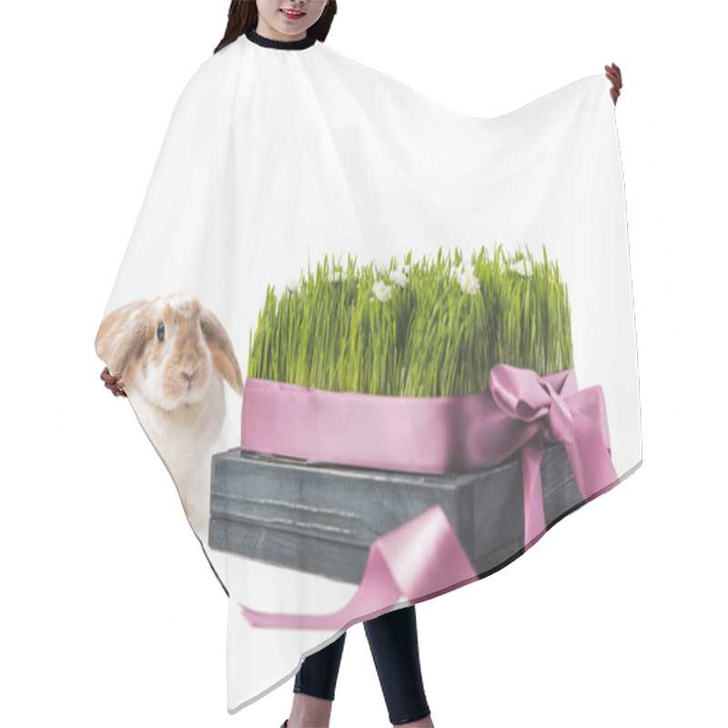 Personality  Rabbit Sitting Near Grass With Camomiles Bound By Ribbon, Easter Concept Hair Cutting Cape