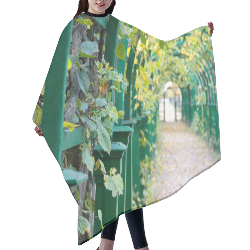 Personality  Autumn Pergola Hair Cutting Cape