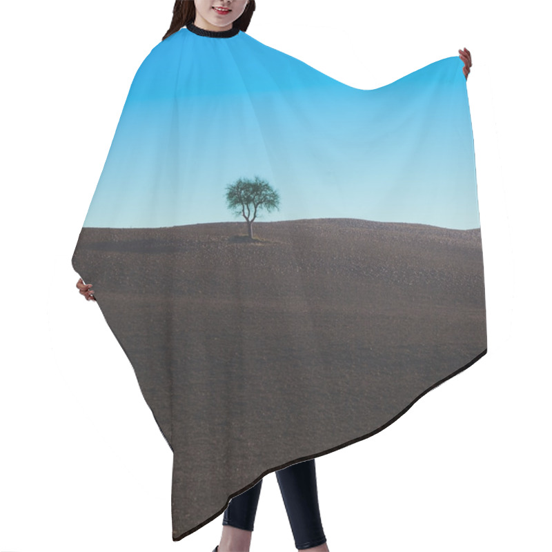 Personality  Lonely Tree On A Typical Dark Soil Field Near Siena. Hair Cutting Cape