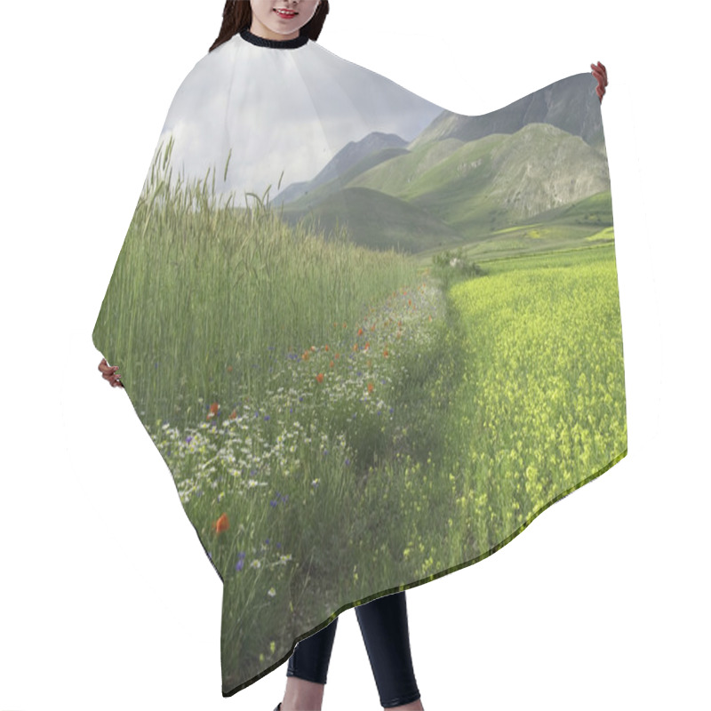 Personality  Green Field With Flowers. Hair Cutting Cape