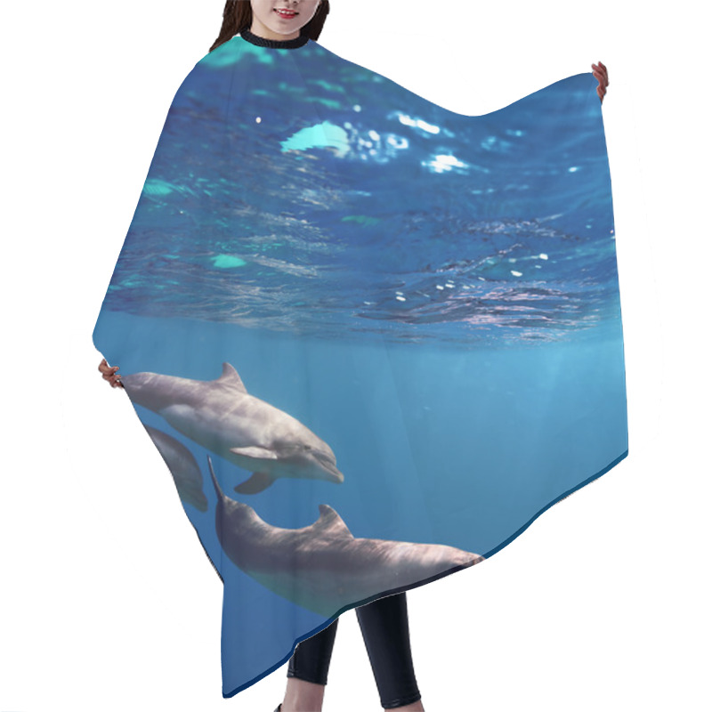 Personality  Three Dolphins Swimming Underwater Hair Cutting Cape