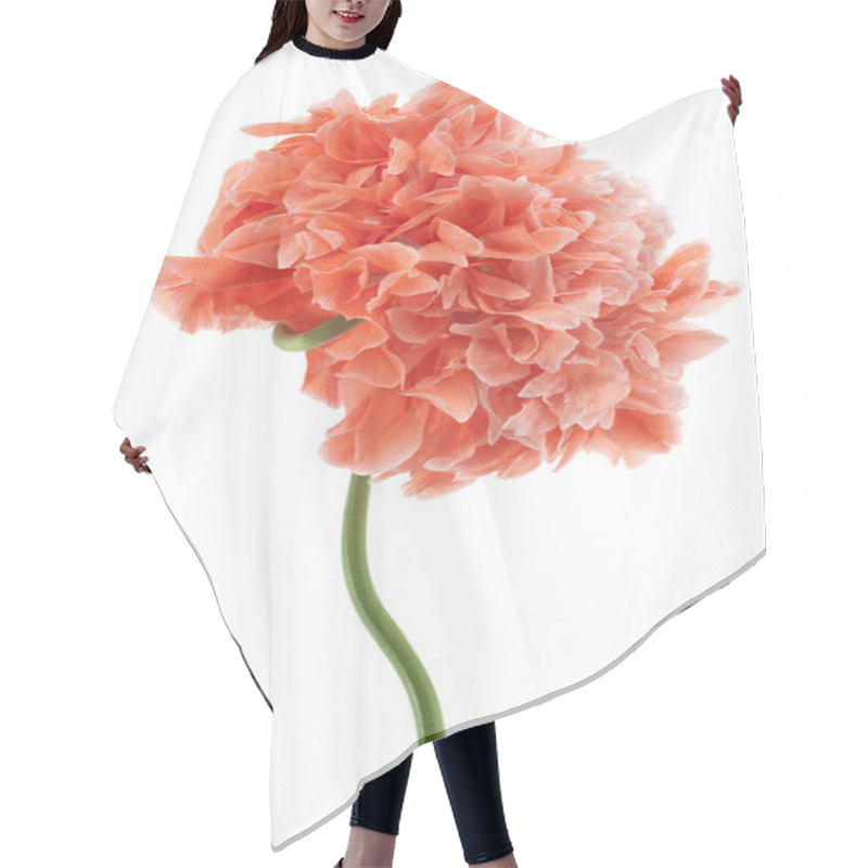 Personality  Poppy Hair Cutting Cape