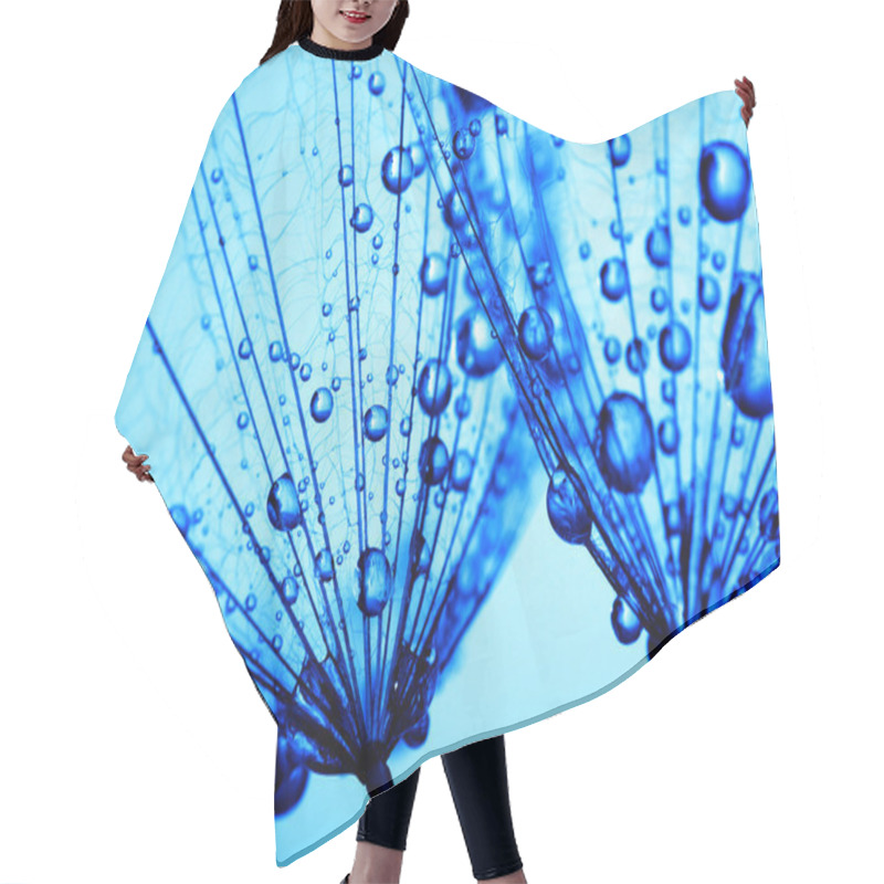 Personality   Dandelion Seeds  Hair Cutting Cape