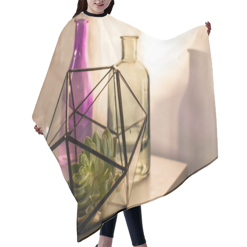 Personality  Succulent Plant In Terrarium Hair Cutting Cape