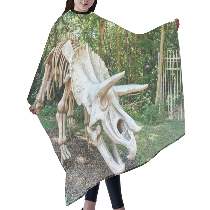 Personality  Triceratops Fossil Skeleton Over Natural Background Hair Cutting Cape