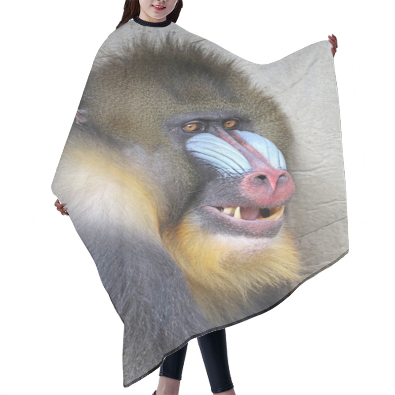 Personality  Photo Of Mandrill In Nature  Hair Cutting Cape