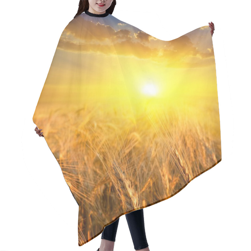 Personality  Wheat Field In A Rays Of Sun Hair Cutting Cape