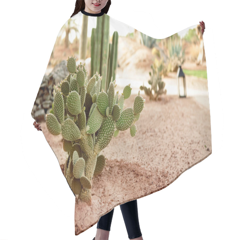 Personality  Desert Cactus Hair Cutting Cape