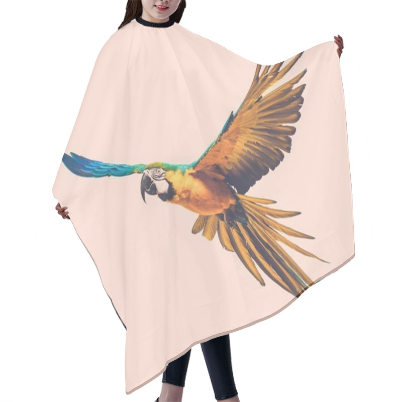 Personality  Flying Parrot Toned Hair Cutting Cape