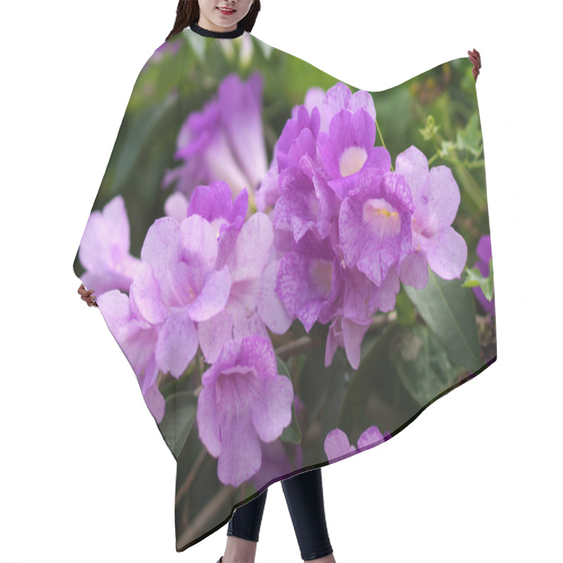 Personality  Ivy Purple Flowers Hair Cutting Cape