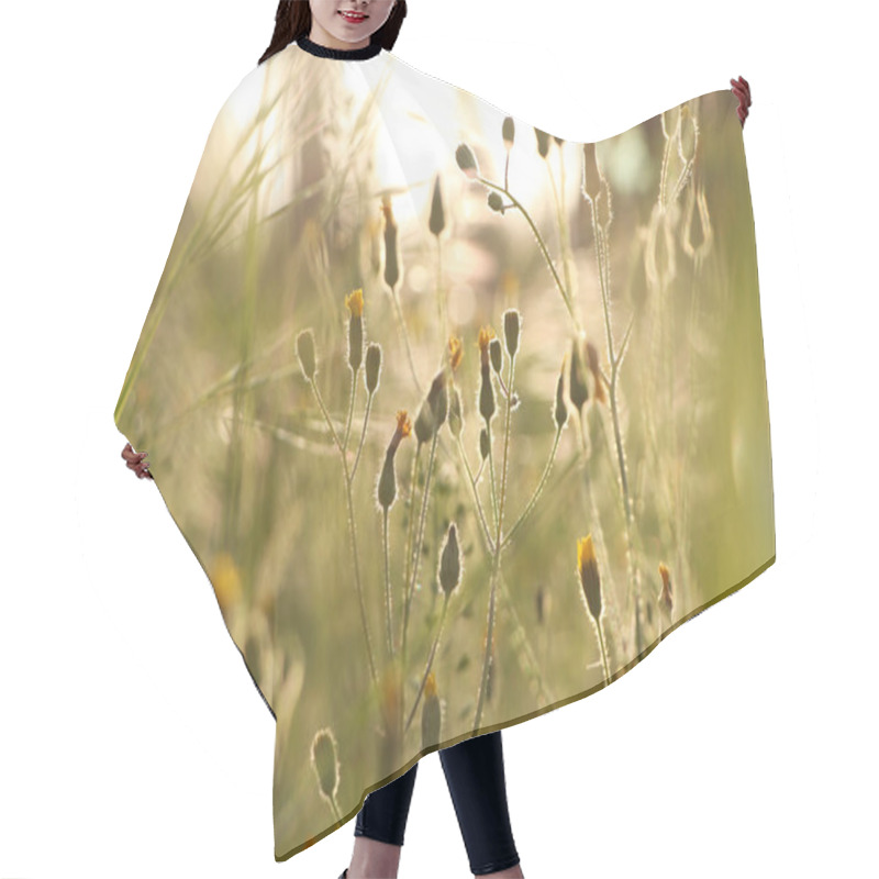 Personality  Beautiful Wild Flowers Growing In Spring Meadow Hair Cutting Cape