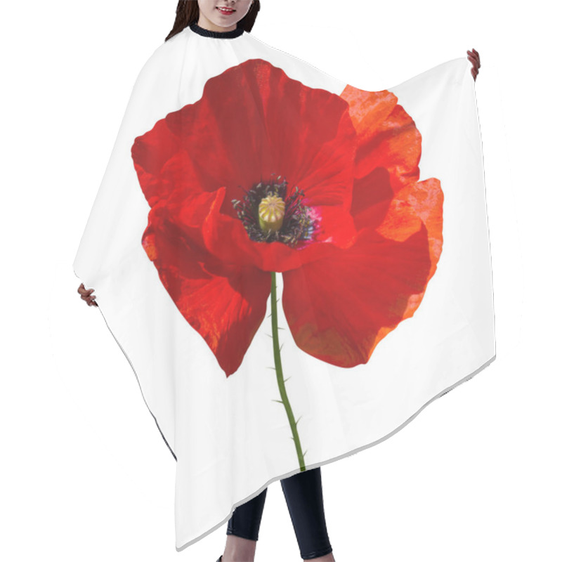 Personality  Red Poppy Isolated On White Background Hair Cutting Cape