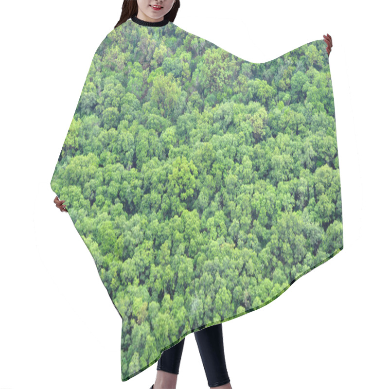 Personality  Foliage Texture Hair Cutting Cape