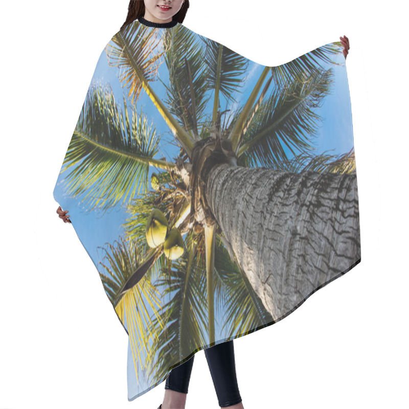 Personality  Coconut Palm Tree Hair Cutting Cape