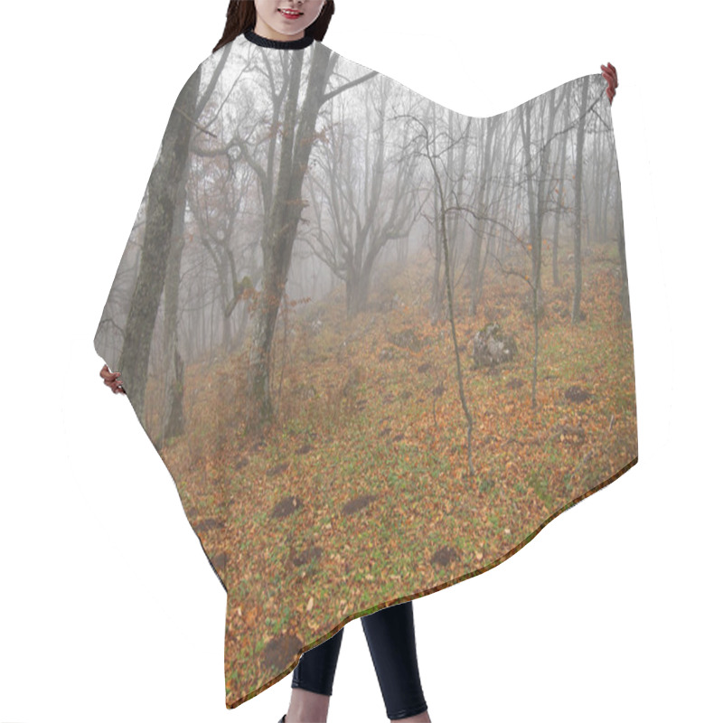 Personality  Autumn Misty Forest With Fallen Leaves. Hair Cutting Cape