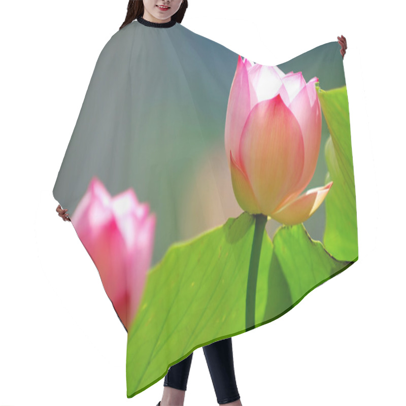 Personality  Lotus Flowers Under Sun Light Hair Cutting Cape