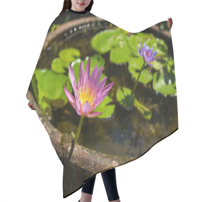 Personality  Beautiful Water Lily In Water Pot Hair Cutting Cape