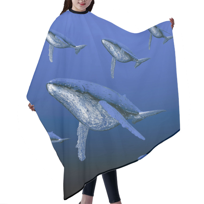 Personality  Humpback Whale Hair Cutting Cape