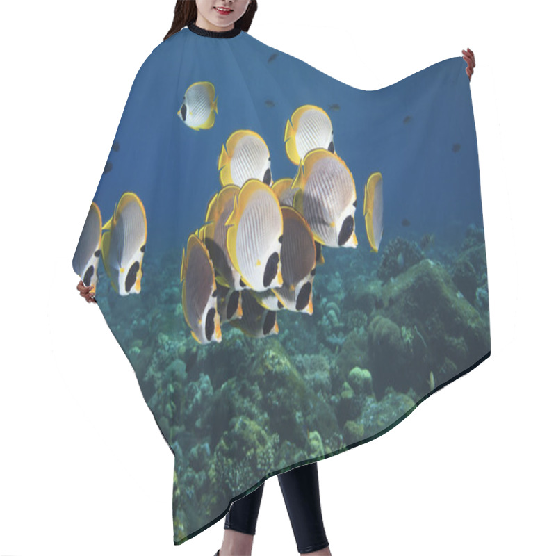 Personality  Butterflyfish Hair Cutting Cape