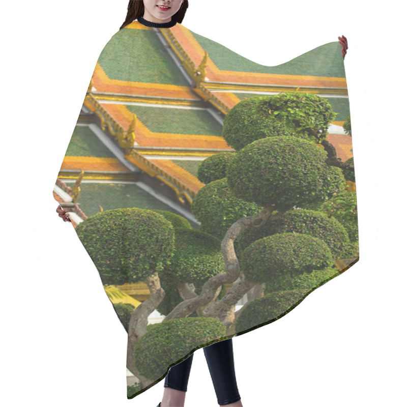 Personality  Roof With Bonsai-trees Hair Cutting Cape