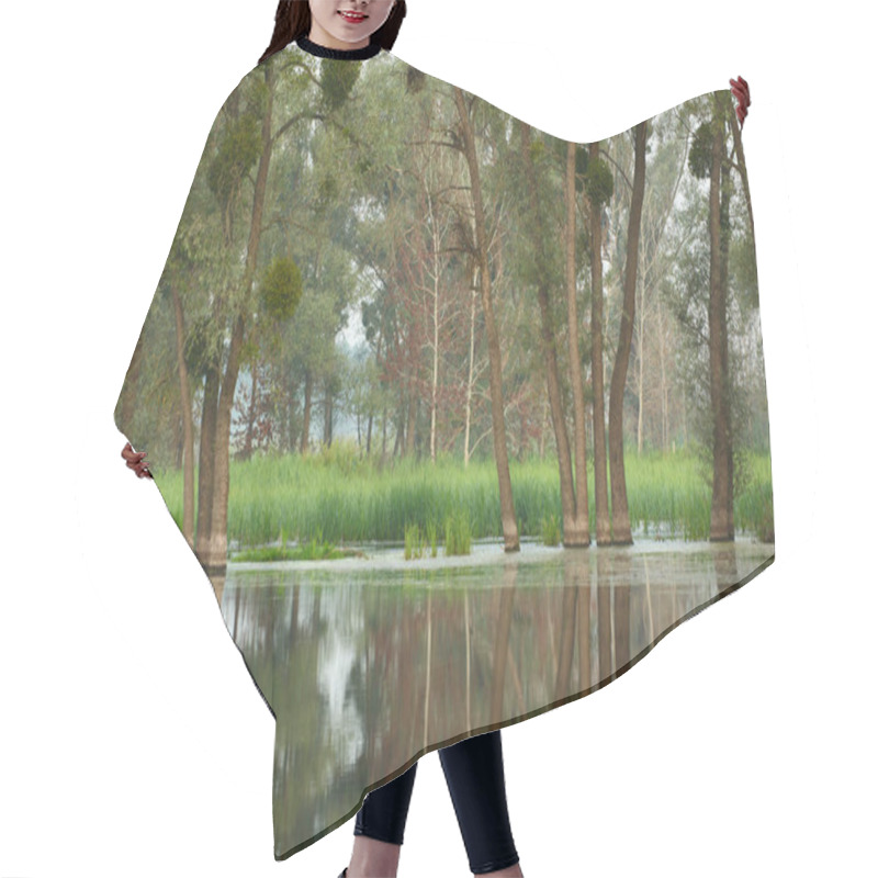 Personality  A Flooded Forest Landscape Hair Cutting Cape