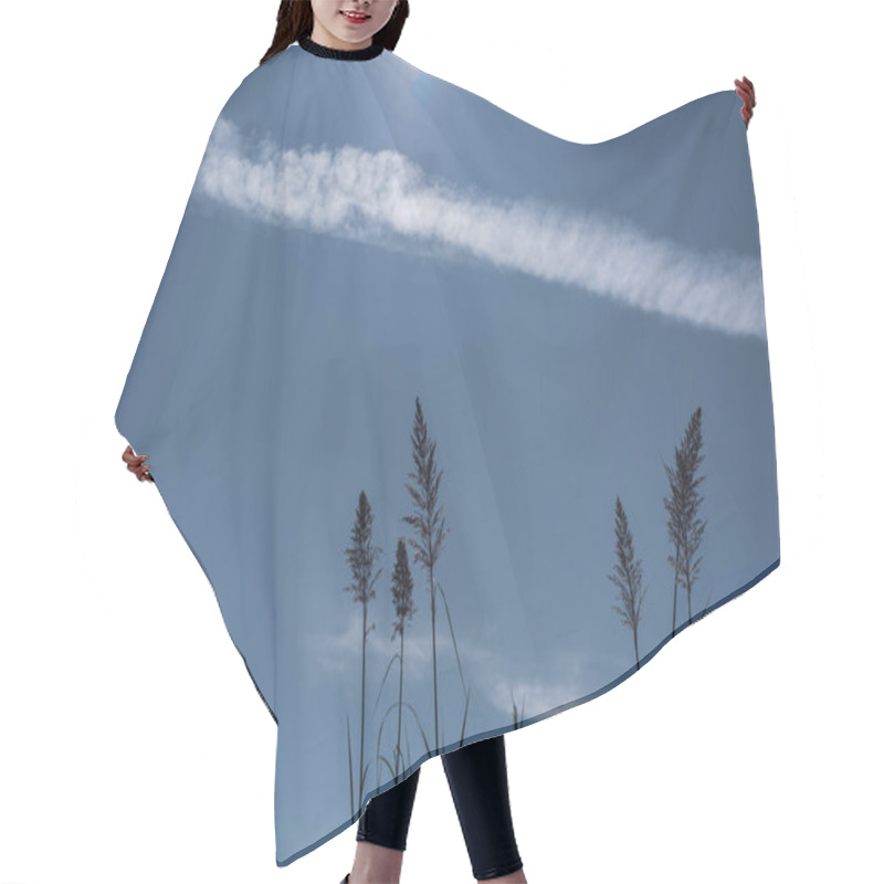 Personality  Stems Of Feather Reed Grass With Blue Sky And Clouds At Background Hair Cutting Cape