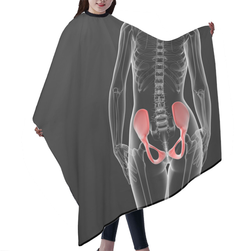 Personality  3d Render Female Hip Bone Hair Cutting Cape