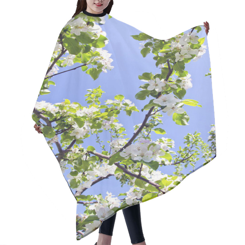 Personality  Blooming Apple Tree Branch On Background Of Sky Hair Cutting Cape