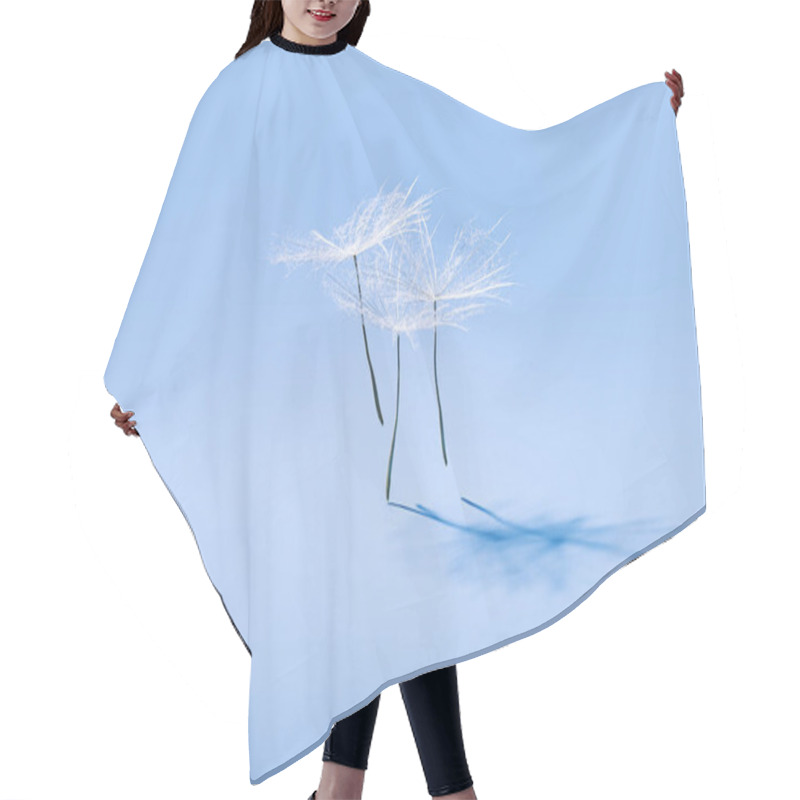 Personality  Close Up Macro White Fluffy Dandelion Seeds Heads With Detailed Lace-like Patterns, Natural Flying Or Dancing Flower On Soft Blue With Copy Space. Creative Nature Floral Composition, Minimal Style Hair Cutting Cape