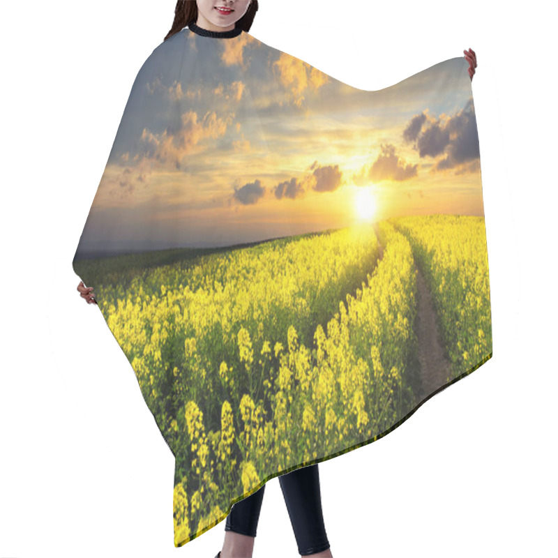 Personality  Rapeseed Field At Sunset Hair Cutting Cape