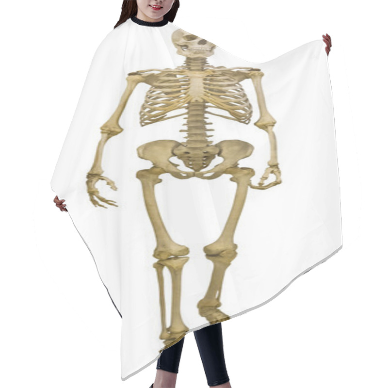 Personality  Single Human Skeleton On White Hair Cutting Cape