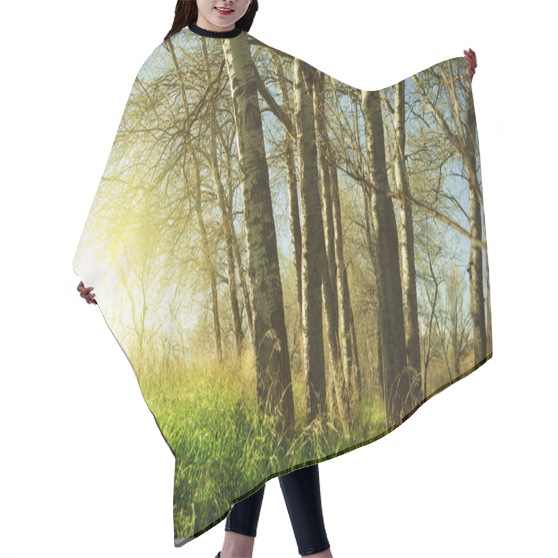 Personality  Landscape Trees Hair Cutting Cape