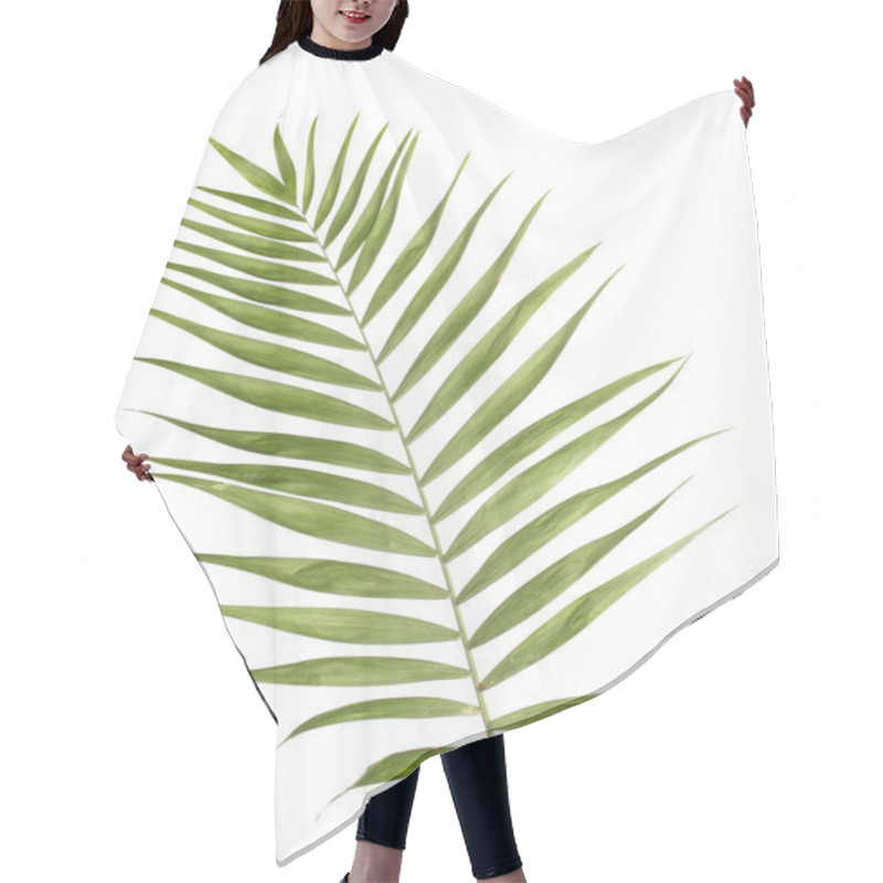 Personality  Beautiful Palm Leaf Isolated On White Hair Cutting Cape